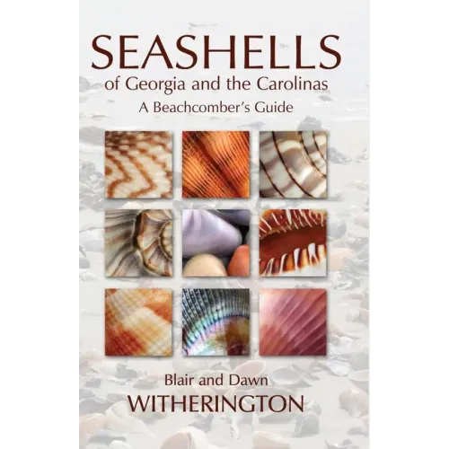 Seashells of Georgia and the Carolinas: A Beachcomber's Guide - Paperback
