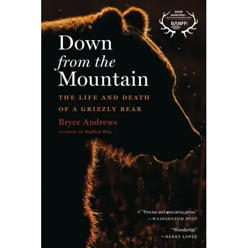 Down from the Mountain: The Life and Death of a Grizzly Bear - Paperback