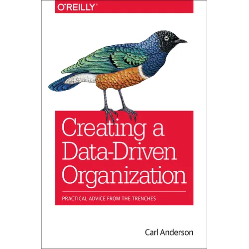 Creating a Data-Driven Organization: Practical Advice from the Trenches - Paperback