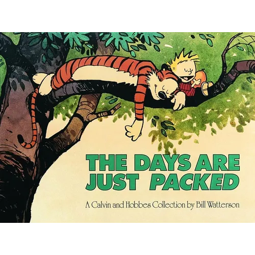 The Days Are Just Packed: A Calvin and Hobbes Collection Volume 9 - Paperback