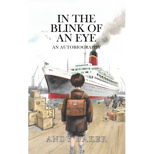 In the Blink of an Eye - Hardcover
