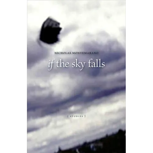 If the Sky Falls: Stories - Paperback