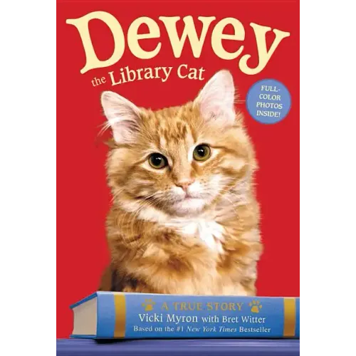 Dewey the Library Cat: A True Story - Paperback