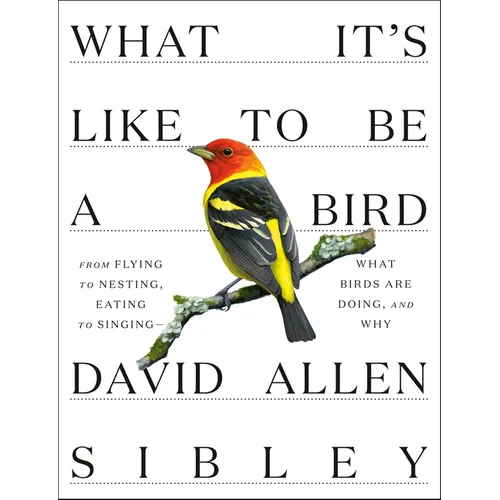 What It's Like to Be a Bird: From Flying to Nesting, Eating to Singing--What Birds Are Doing, and Why - Hardcover