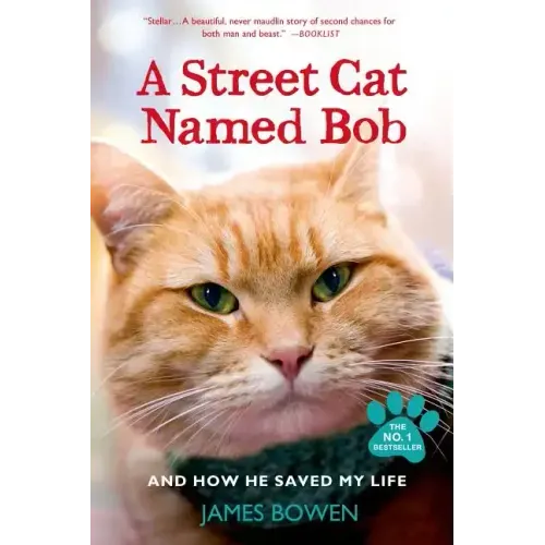 A Street Cat Named Bob and How He Saved My Life - Paperback