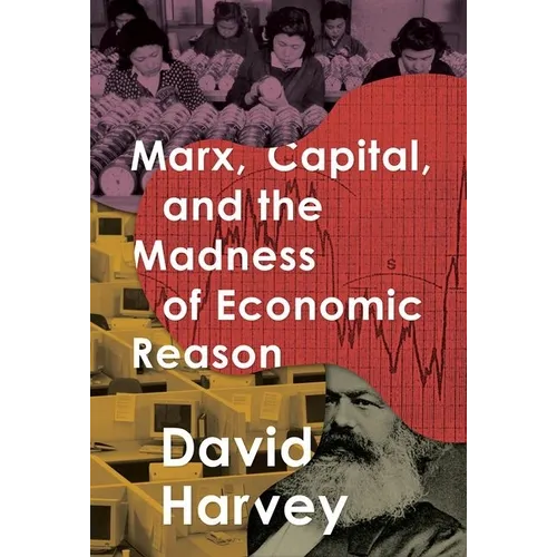 Marx, Capital, and the Madness of Economic Reason - Paperback