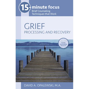15-Minute Focus: Grief: Processing and Recovery: Brief Counseling Techniques That Work - Paperback