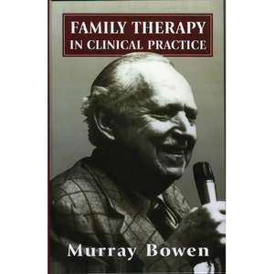 Family Therapy in Clinical Practice - Paperback