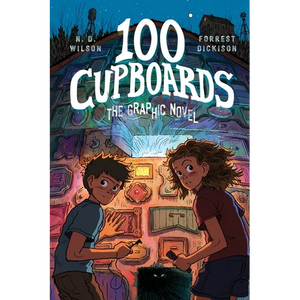 100 Cupboards: The Graphic Novel - Paperback