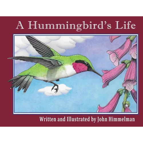 A Hummingbird's Life - Paperback
