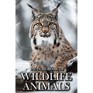 Wildlife Animals: Picture Books For Adults With Dementia And Alzheimers Patients - Beautiful Photos Of Wild Scenes with Animals - Paperback