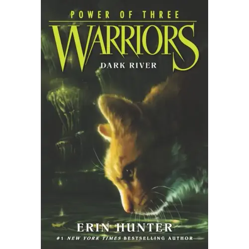 Warriors: Power of Three #2: Dark River - Paperback