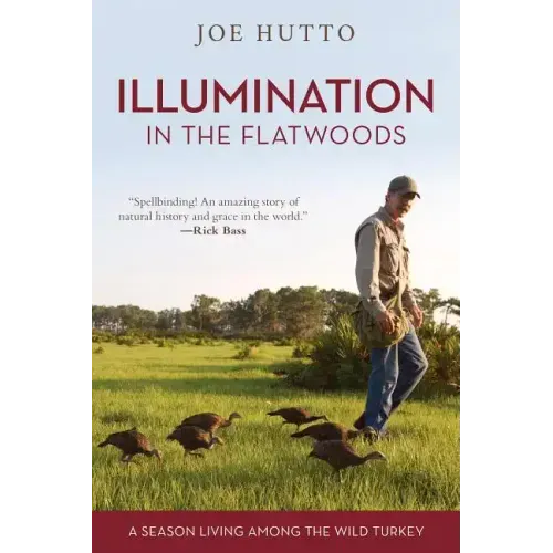 Illumination in the Flatwoods: A Season Living Among the Wild Turkey - Paperback