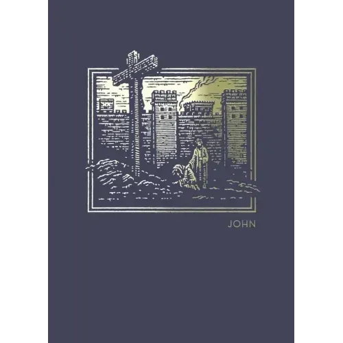 Net Abide Bible Journal - John, Paperback, Comfort Print: Holy Bible - Paperback