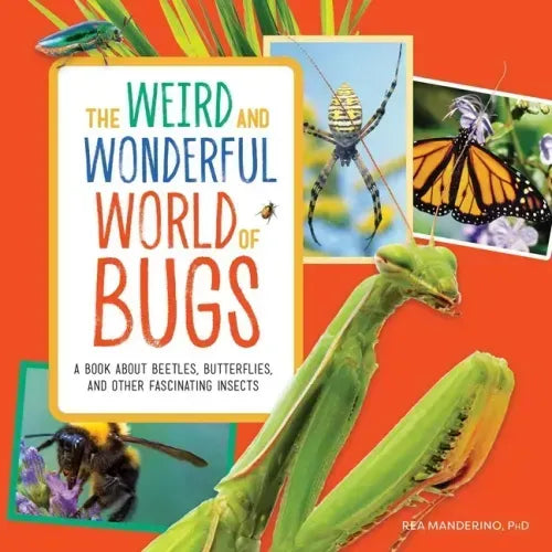 The Weird and Wonderful World of Bugs: A Book about Beetles, Butterflies, and Other Fascinating Insects - Paperback