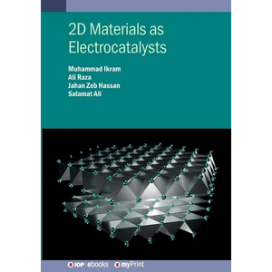 2D Materials as Electrocatalysts - Paperback