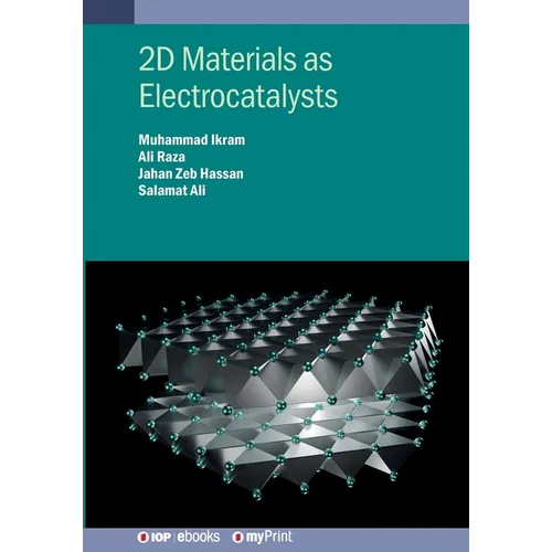 2D Materials as Electrocatalysts - Paperback