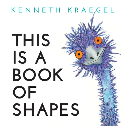 This Is a Book of Shapes - Board Book