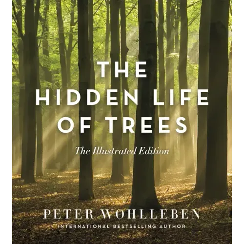 The Hidden Life of Trees: The Illustrated Edition - Hardcover