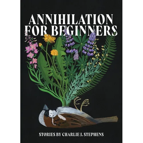 Annihilation for Beginners - Paperback