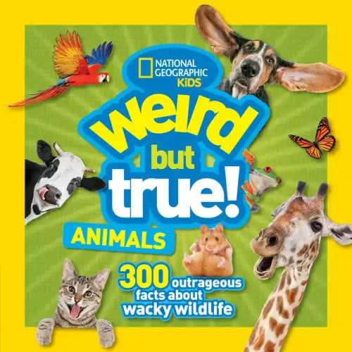 Weird But True! Animals - Paperback