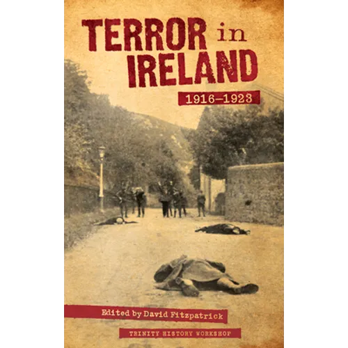 Terror in Ireland: 1916-1923 - Paperback
