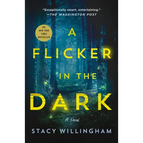 A Flicker in the Dark - Paperback