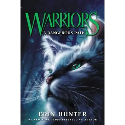 Warriors #5: A Dangerous Path - Paperback