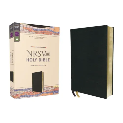 Nrsvue, Holy Bible, Leathersoft, Black, Comfort Print - Imitation Leather