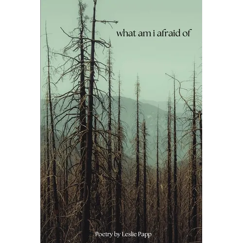 what am i afraid of - Paperback