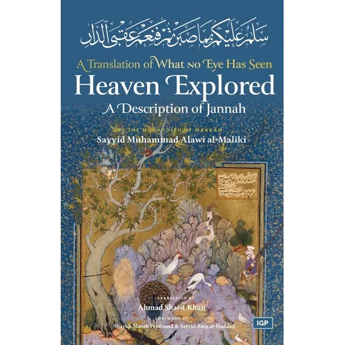 Heaven Explored - Paperback