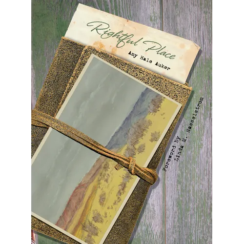 Rightful Place - Paperback