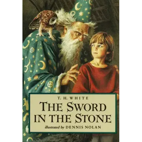 The Sword in the Stone - Hardcover