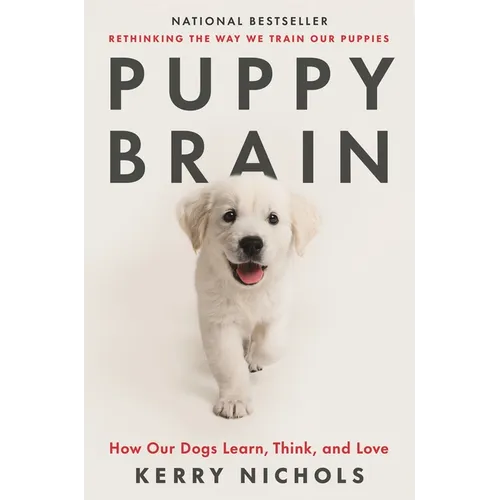Puppy Brain: How Our Dogs Learn, Think, and Love - Paperback