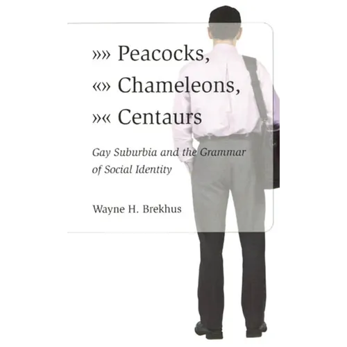 Peacocks, Chameleons, Centaurs: Gay Suburbia and the Grammar of Social Identity - Paperback