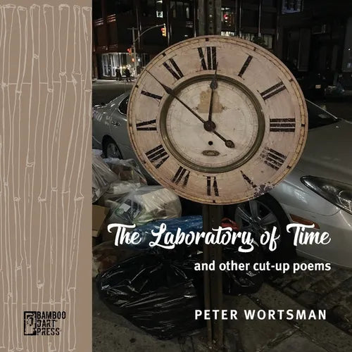 The Laboratory of Time - Paperback