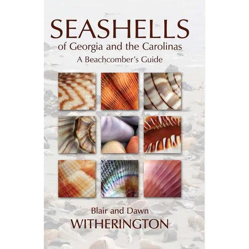 Seashells of Georgia and the Carolinas: A Beachcomber's Guide - Paperback