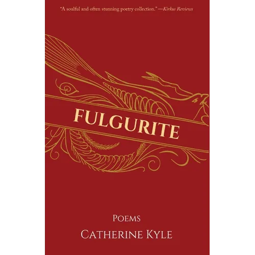 Fulgurite - Paperback