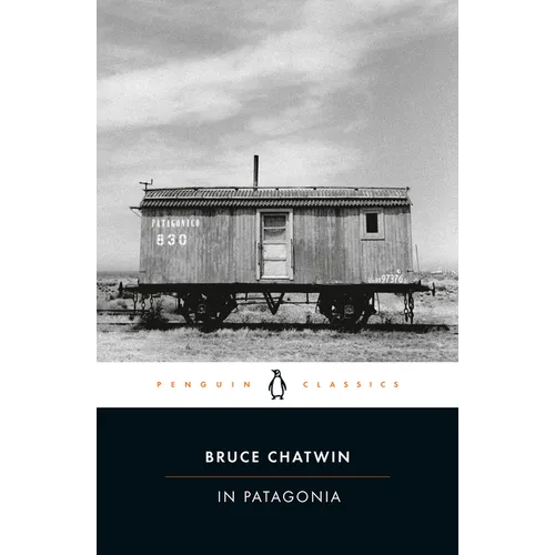 In Patagonia - Paperback