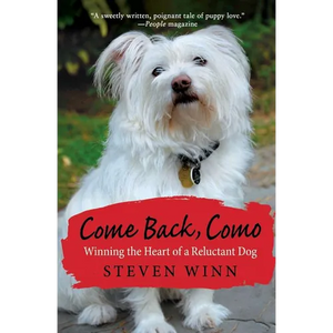 Come Back, Como: Winning The Heart Of A Reluctant Dog - Paperback