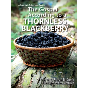 The Gospel According to a Blackberry - Paperback