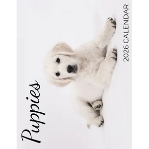 Puppies 2026 Calendar - Paperback