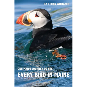 Every Bird in Maine: One Man's Journey to See Every Bird in Maine - A Photographic Account of a Maine Big Year in Birding - Paperback
