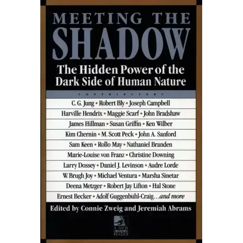 Meeting the Shadow: The Hidden Power of the Dark Side of Human Nature - Paperback