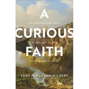 A Curious Faith: The Questions God Asks, We Ask, and We Wish Someone Would Ask Us - Paperback