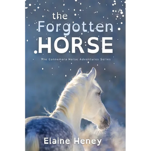 The Forgotten Horse - Dyslexia Friendly - Paperback