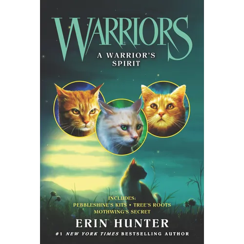 A Warrior's Spirit - Paperback