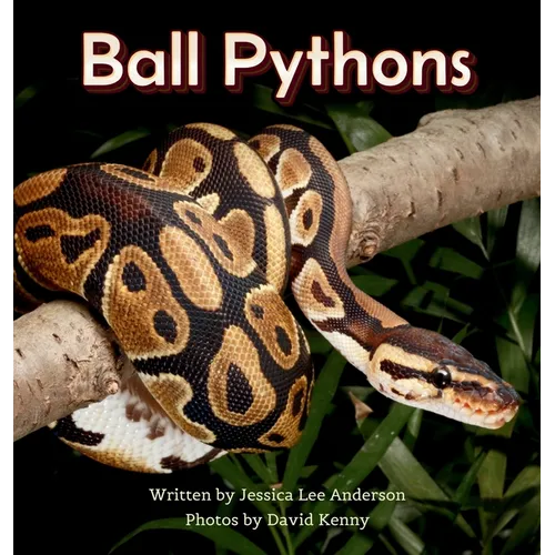 Ball Pythons - Hardcover