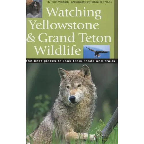 Watching Yellowstone & Grand Teton Wildlife - Paperback