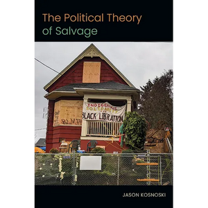 The Political Theory of Salvage - Paperback
